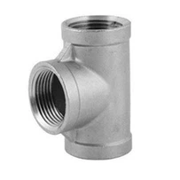 ACI-2 TE 90 FEMEA 316 150 21/2 BSP